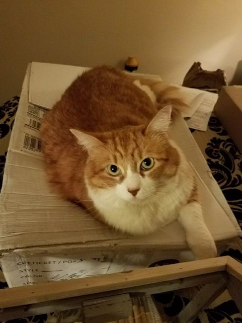 NWR- let me see your fur babies, awake and scared