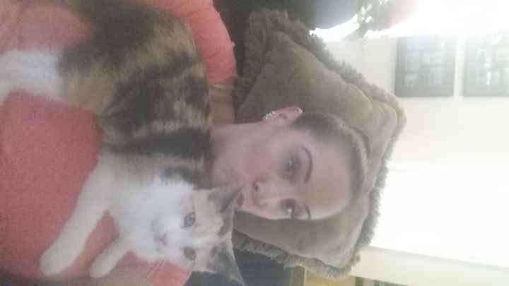 Show my your kitties!