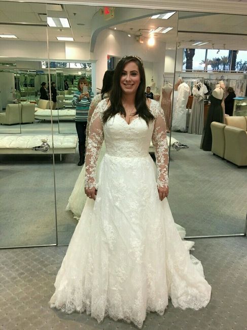 Any size 12/14 brides care to share?