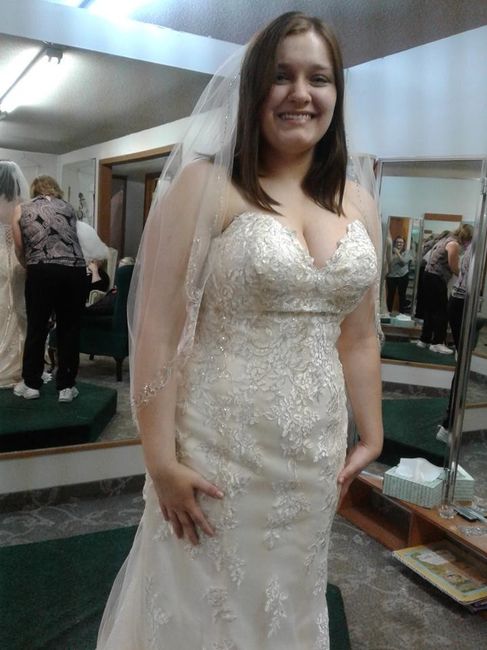 Found my dress! Not what I went in wanting at all, but turned out to be perfect!