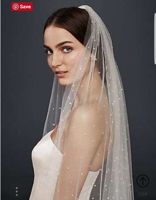 Bridal Veil help. - 4