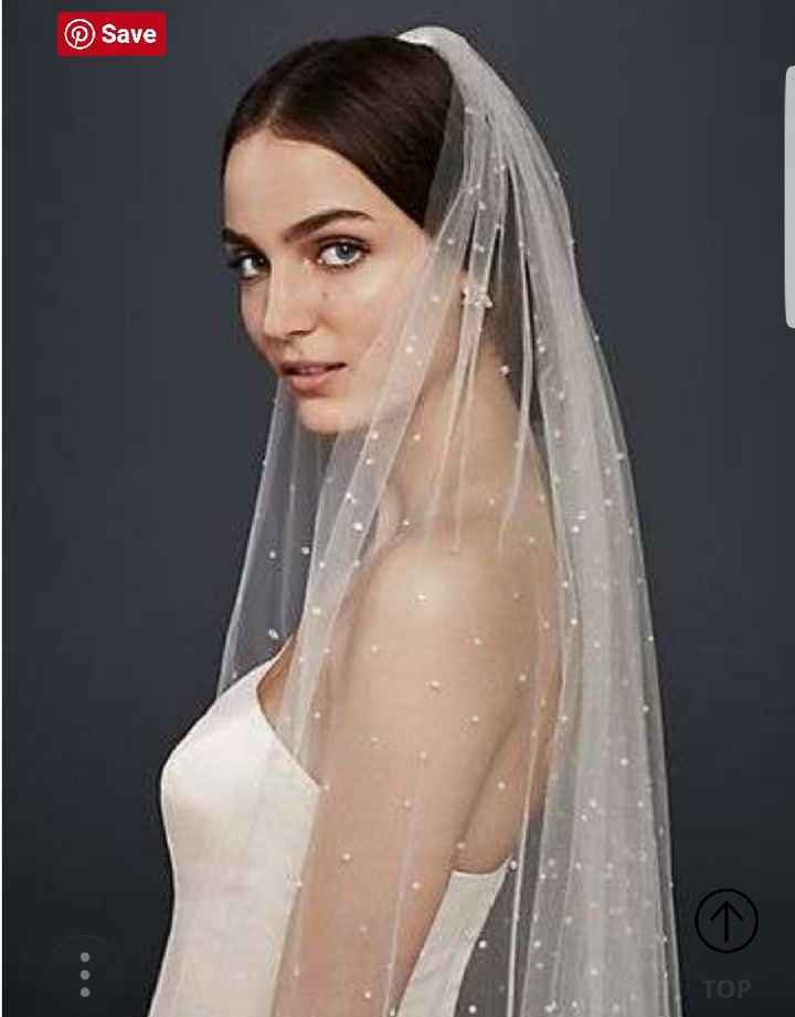 Bridal Veil help. - 4