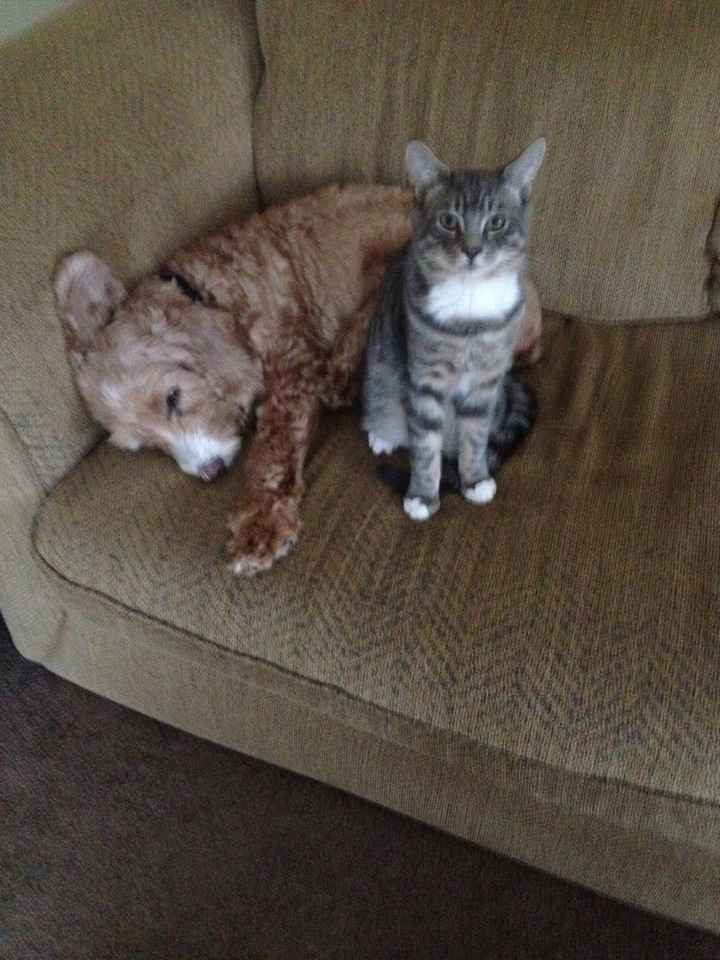 NWR - Furbaby Friday