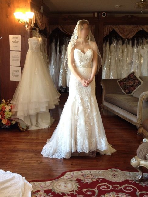 Show me your gown!
