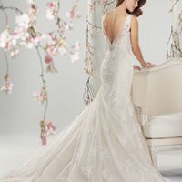 Bridal Veil help. - 2