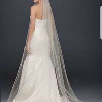 Bridal Veil help. - 3