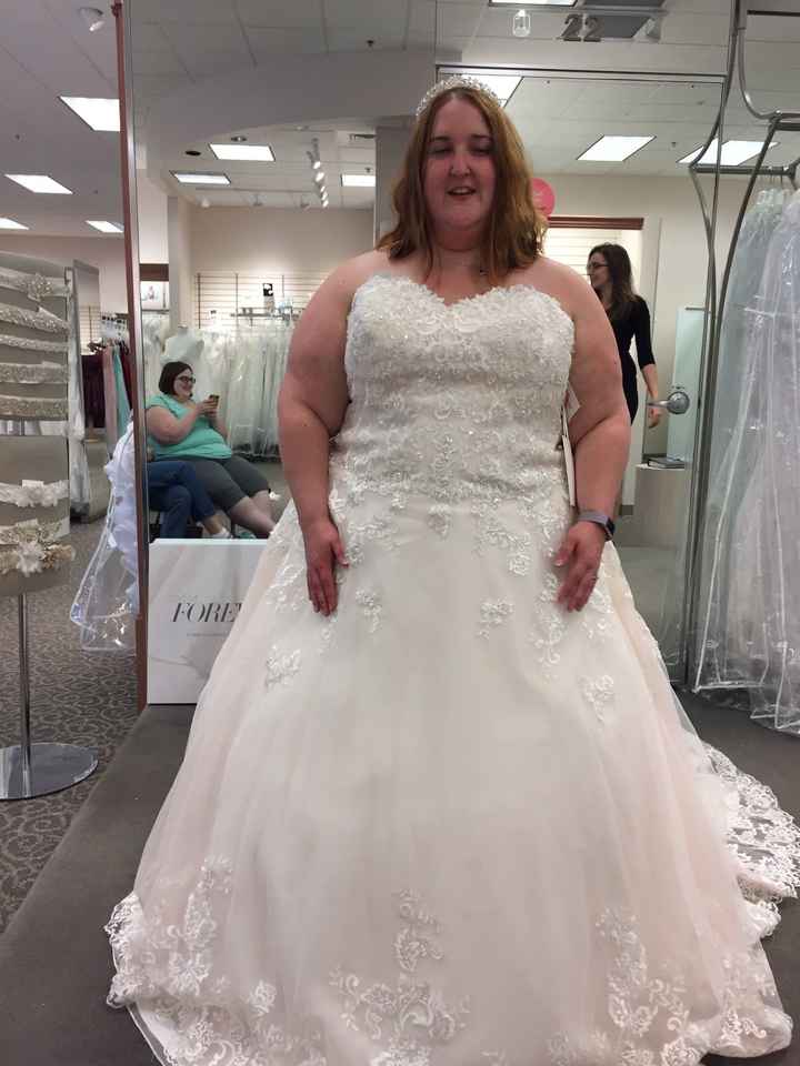 Davids bridal wedding dresses....