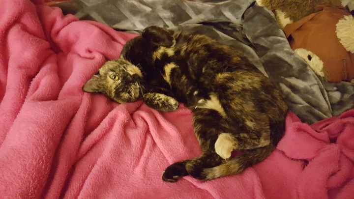 NWR - Adopting this beauty on Sunday!