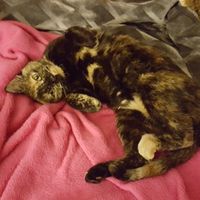 NWR - Adopting this beauty on Sunday!