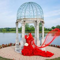 Brides let’s see your wedding dress - 2