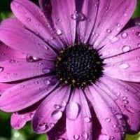 Show off your wedding colors in a fun way!