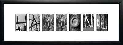 Whats Your Guest Book or Alternative?