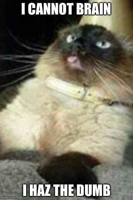 NWR So this happened on the first day of my new commute UPDATED in Comments