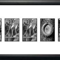 Whats Your Guest Book or Alternative?