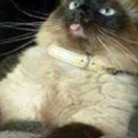 NWR So this happened on the first day of my new commute UPDATED in Comments