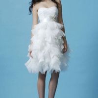 Wedding dress budget