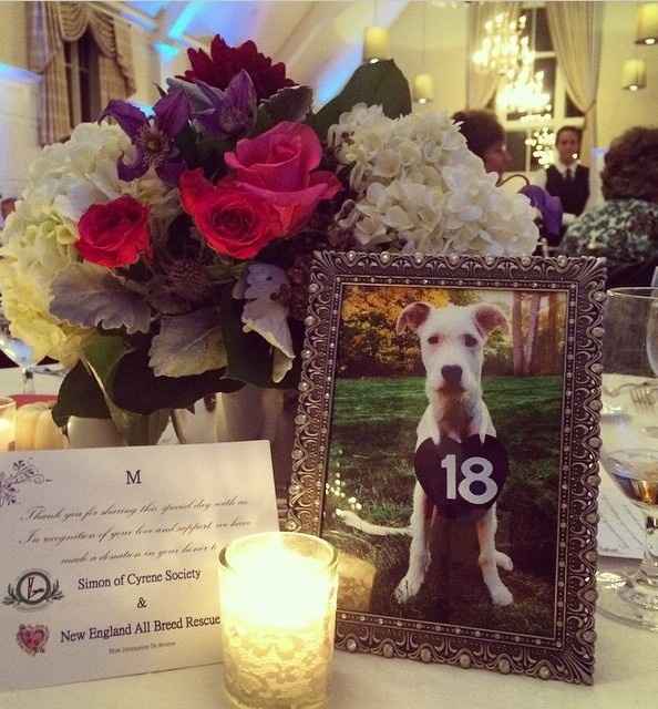 This is a pets in wedding thread.(I want to see pictures)