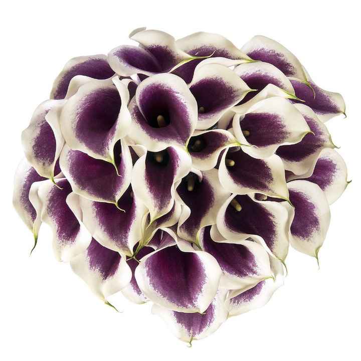 Picasso Calla Lilies