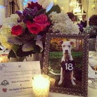 This is a pets in wedding thread.(I want to see pictures)