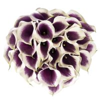 Picasso Calla Lilies