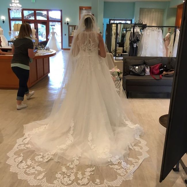 Let me see your DRESS!