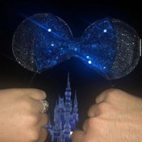 11.13.18 He Asked & I Said Yes! In front Of Cinderellas Castle Walt Disney World