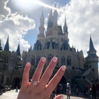 11.13.18 He Asked & I Said Yes! In front Of Cinderellas Castle Walt Disney World