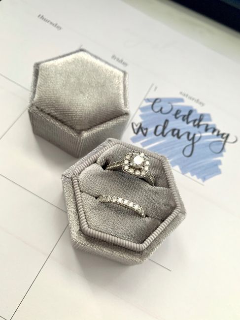 Velvet Ring Box - 2