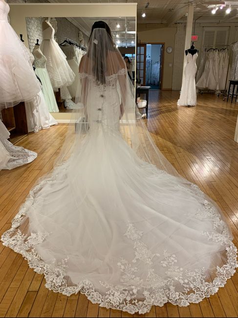 Dress/veil Combo 7