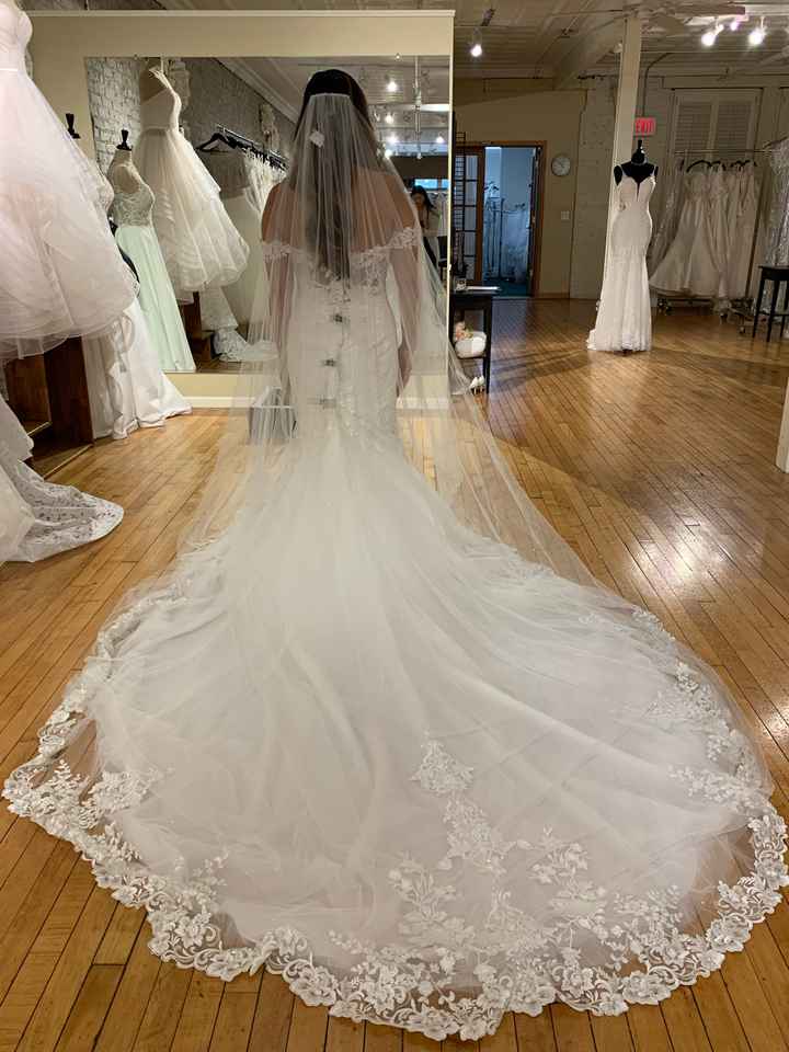 Dress/veil Combo - 1