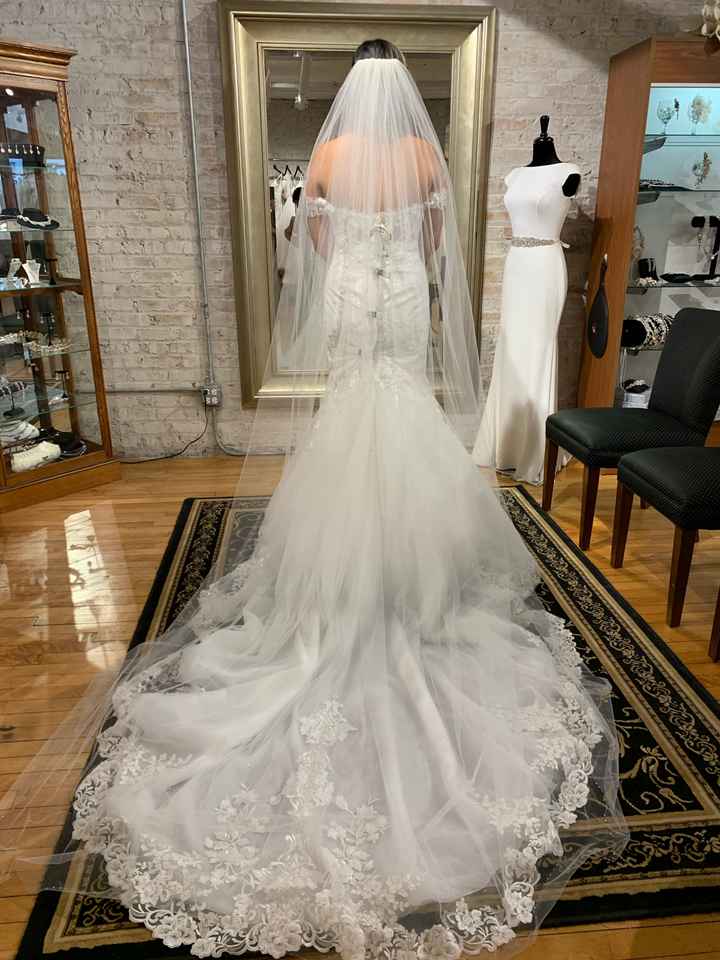 Floor length veils - Show me yours!! - 1