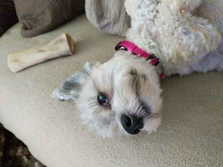 NWR how to make adult friends? Lol