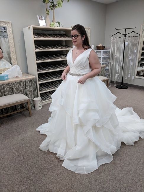 Picked up my dress today!! - 3