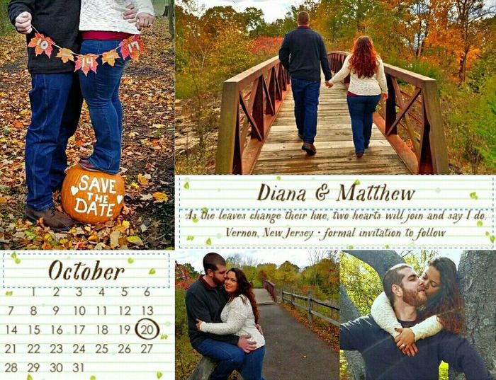 STD How much did you spend?