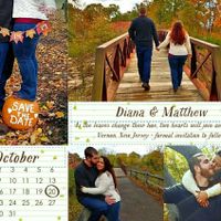 STD How much did you spend?