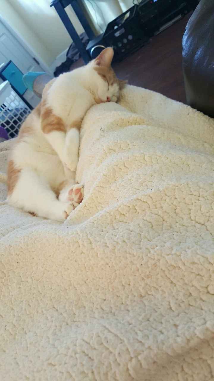 Seems like an awful lot of bad news on here today :(