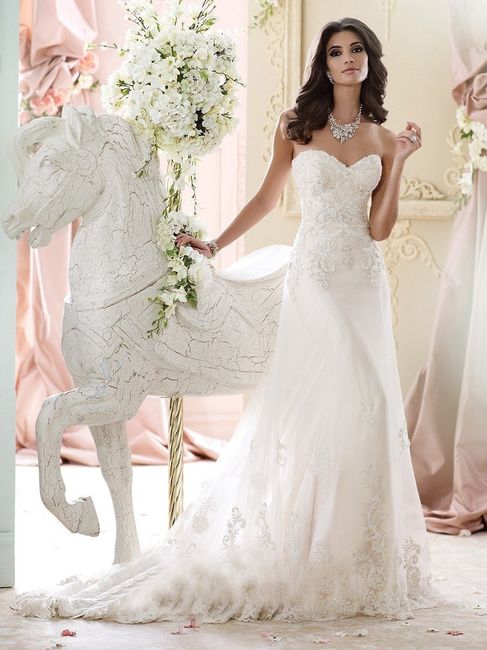 Have you said YES to the DRESS?