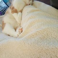 Seems like an awful lot of bad news on here today :(