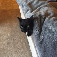 Post a pic of something that makes you happy!