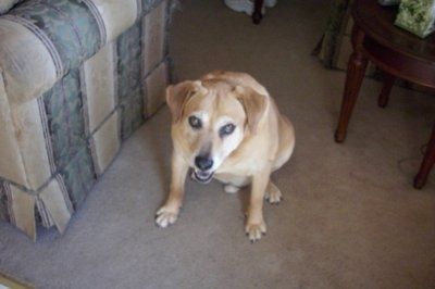 NWR: Lets see our pets!!