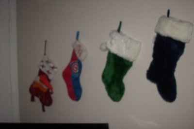NWR: Share the holiday spirit :) Pictures of trees, your pets dressed up, DIY