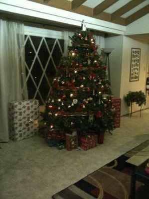 NWR- Lets see your Christmas trees!!!