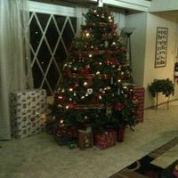 NWR- Lets see your Christmas trees!!!