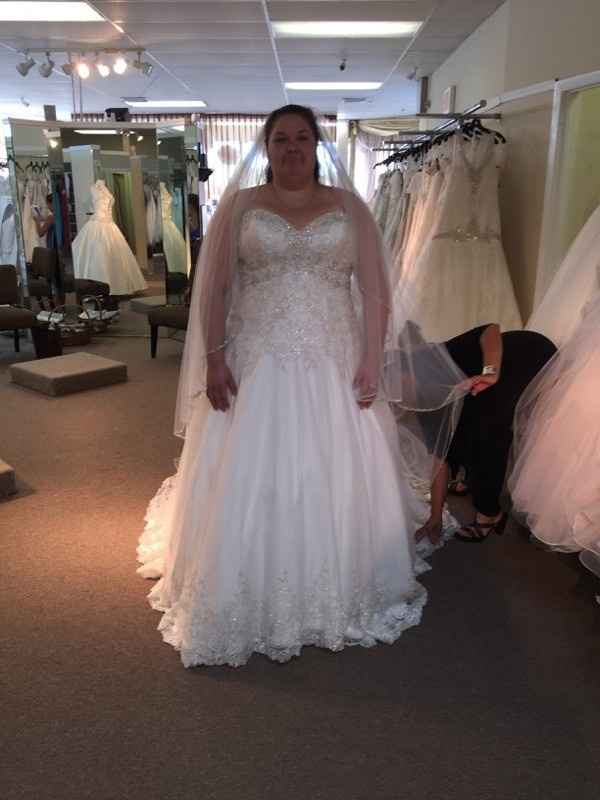 Show me your wedding dresses, and tell me where they are from,and the cost? :)