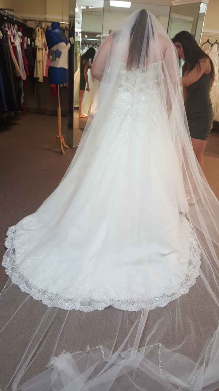 Show me your wedding dresses, and tell me where they are from,and the cost? :)