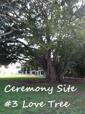 Changing Ceremony Site & Theme HELP! 65 Days before my wedding!