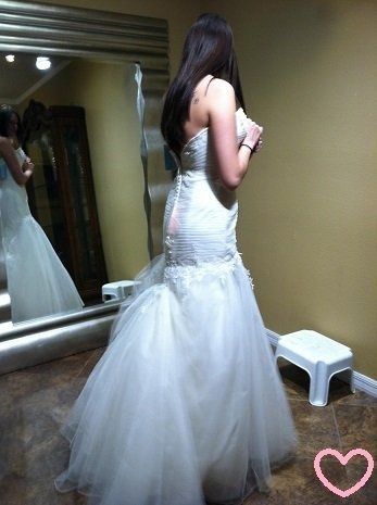Dress finally came in! First Fitting! (Pics)