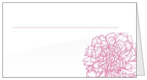Anyone DIY-ing their escorts/place cards with design?