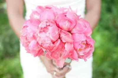 What type of flower is this???