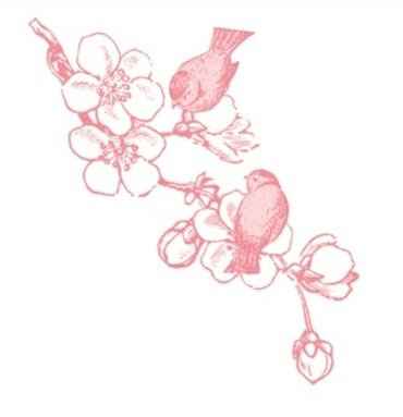 follow up~ since the FH can't help